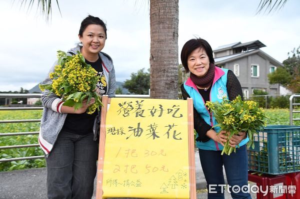 ▲80多歲的田主陳廣友老先生利用春耕前的空檔播下綠肥，種植八分地的油菜花。（圖／吉安鄉公所提供，下同）