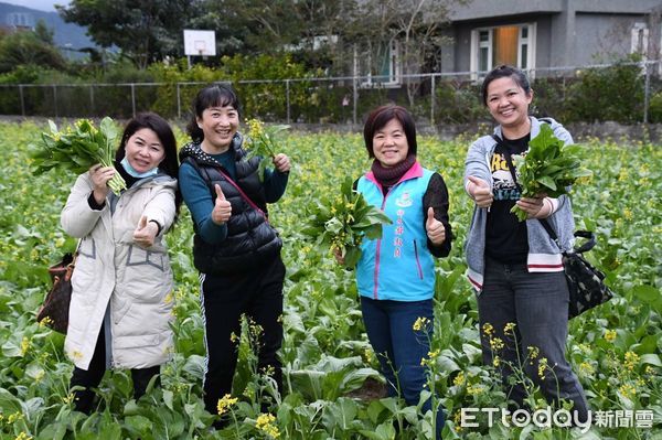 ▲80多歲的田主陳廣友老先生利用春耕前的空檔播下綠肥，種植八分地的油菜花。（圖／吉安鄉公所提供，下同）