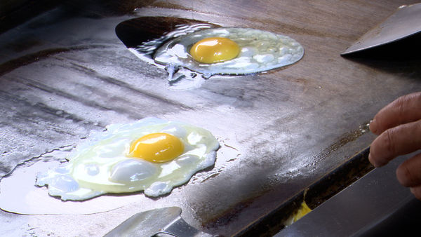 ▲My egg安全食品王國的秘密 竟把「無塵室」、「五星服務」搬進雞舍。（圖／記者謝盛帆攝）