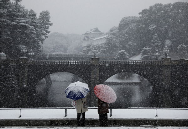 ▲▼東京零下0.4度「積雪10公分」　4年來首次發布大雪警報。（圖／路透）