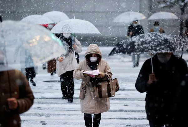 ▲▼東京零下0.4度「積雪10公分」　4年來首次發布大雪警報。（圖／路透）