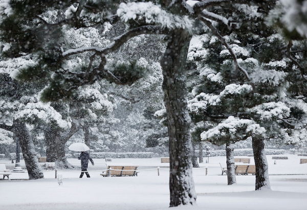 ▲▼東京零下0.4度「積雪10公分」　4年來首次發布大雪警報。（圖／路透）