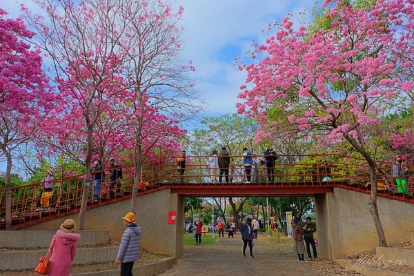 ▲▼台中北屯三甲公園。（圖／飛天璇的口袋提供）