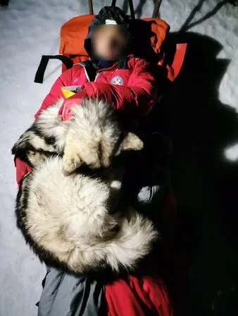 主人遇山難，雪橇犬用體溫保暖。（圖／翻攝自HGSS - Hrvatska Gorska Služba Spašavanja）