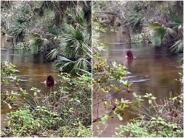 ▲▼美國奧蘭多一名31歲女子米蘭達羅莎（Paola Marie Miranda-Rosa）在威基瓦河中游泳後蹤，可能已遭到鱷魚襲擊喪生。（圖／翻攝自Facebook／Osceola County Sheriff’s Office）