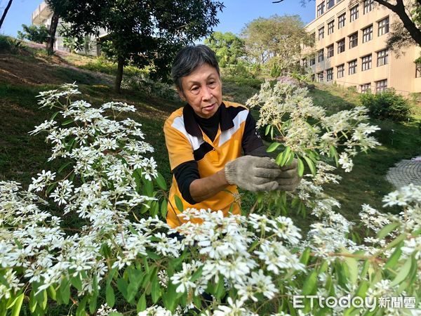 ▲▼72歲的王慧娥奶奶，榮獲教育部第五屆樂齡教育奉獻獎。（圖／記者吳世龍翻攝）