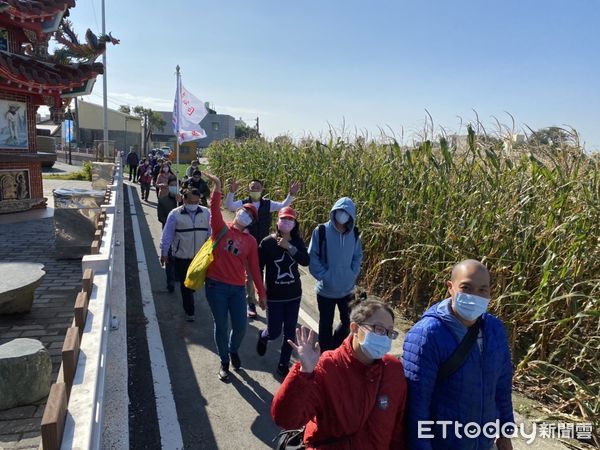 ▲台電雲林區處關懷在地農民協助行銷當地農特產品，今日號召近500位員眷到水林鄉下田採收地瓜，讓員工體驗農家生活，和家人共享田園樂趣。（圖／記者蔡佩旻翻攝）