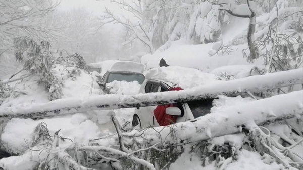 ▲▼避暑勝地下雪！上千汽車追雪受困 巴基斯坦21遊客遭埋喪命。（圖／路透社）