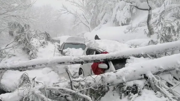 ▲▼避暑勝地下雪！上千汽車追雪受困 巴基斯坦21遊客遭埋喪命。（圖／路透社）