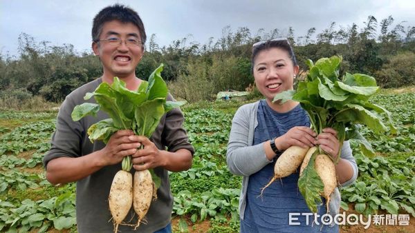 ▲新北三芝「蕃婆林休閒農場」 體驗新鮮直採美味白蘿蔔。（圖／新北市農業局提供）