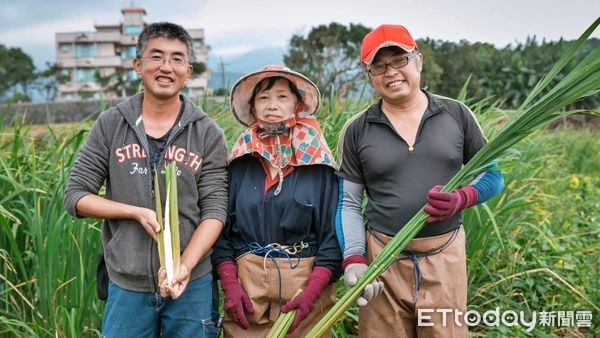 ▲新北三芝「蕃婆林休閒農場」 體驗新鮮直採美味白蘿蔔。（圖／新北市農業局提供）