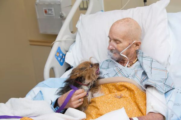 退役美軍最後一次擁抱愛犬。（圖／Albuquerque Animal Welfare）