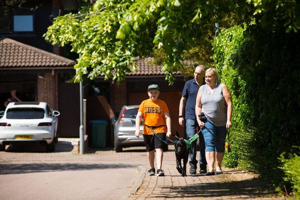 治療犬改變了男孩的人生。（圖／翻攝自Dogs for Good - UK）