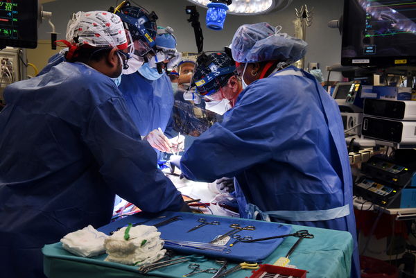 ▲▼美國57歲病患班奈特（David Bennett）7日接受豬隻心臟移植，是醫學史上首個豬心移植至人體的案例。（圖／路透）