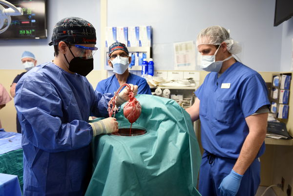 ▲▼美國57歲病患班奈特（David Bennett）7日接受豬隻心臟移植，是醫學史上首個豬心移植至人體的案例。（圖／路透）