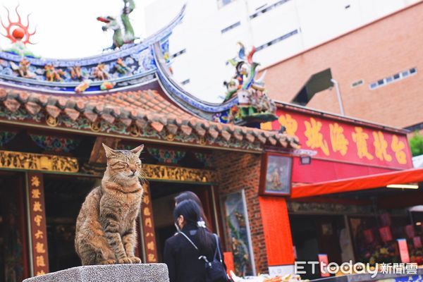 ▲▼霞海城隍廟外出現虎爺雕像。（圖／粉專「聽見貓叫聲」授權提供）