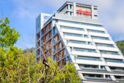 礁溪唯一溫泉積木飯店！有絕美無邊際泳池　6歲以下免費住還送早餐