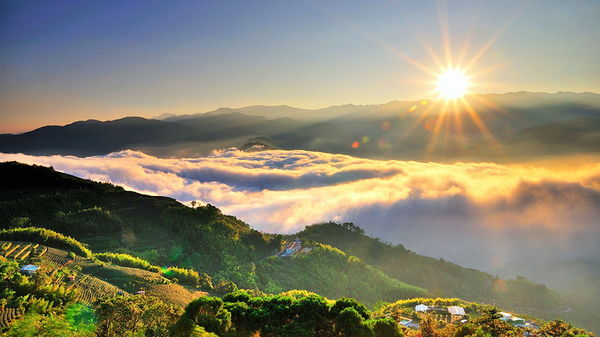 ▲▼阿里山國家風景區。（圖／翻攝阿里山國家風景區管理處官網）