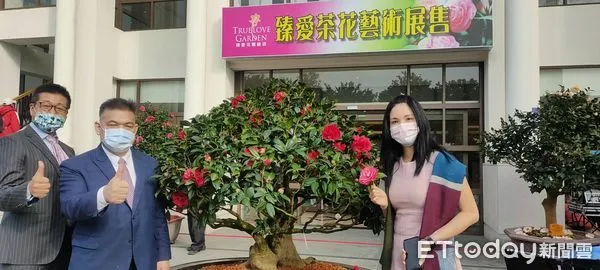 ▲香氣撲鼻！台中飯店、婚宴會館藝術迎春茶花繽紛奔放。（圖／記者游瓊華攝）