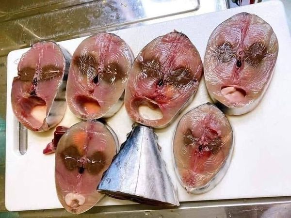 一名網友貼出魚肉剖面圖，引發網友議論。（翻攝自爆廢公社公開版）
