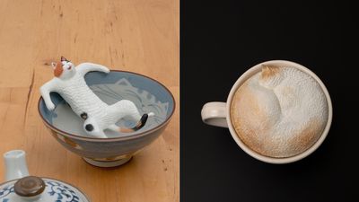 貓咪「四腳全開」躺碗裡泡溫泉　日模型神人做咖啡奶泡細看竟有「貓耳朵」