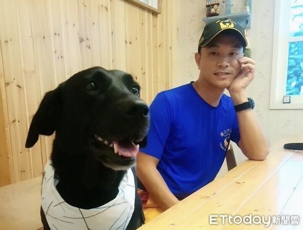 ▲外表超傻萌的拉不拉多搜救犬EVA屆齡退休，台北市消防局17日公開招募寄養家庭。（圖／記者張君豪翻攝）