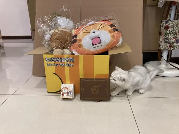 ▲有網友花1688元買「白爛貓」福袋，實際開箱後卻發現內容物相當「落漆」。（圖／翻攝自PTT）
