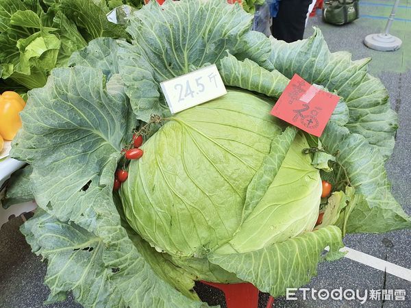 ▲▼高雄市第一社區大學「樂學農園社」推廣無農藥化肥種植，日前在河濱國小舉行成果展。（圖／記者吳世龍翻攝）