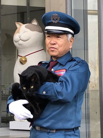 ▲▼黑貓小健和警衛馬屋原定雄擁有好感情。（圖／翻攝自推特／@bijutsu1）