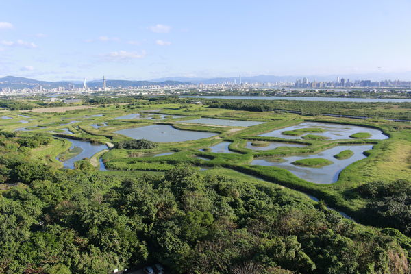 ▲「關渡自然公園」於初四至初六，及2月12、13日五天舉辦「關渡走春愛老虎唷I Love You」活動。（圖／動保處提供）