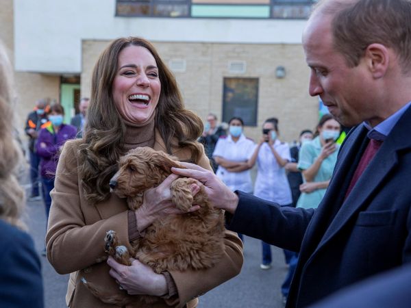 凱特王子妃暖抱「狗醫生」　焦糖色穿搭與小狗融為一體 | ET Fashi