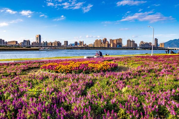 ▲延平河濱公園花海,成美左岸河濱公園花海,大溝溪生態治水園區花海。（圖／北市水利處提供）