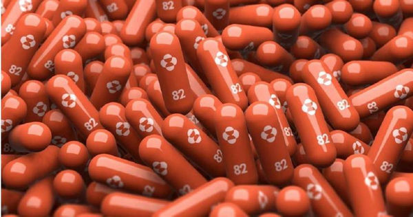 默沙東口服新藥「莫納皮拉韋」（Molnupiravir）已通過緊急使用授權（EUA），適用於具有重症風險因子的輕症到中症患者，於發病後5天內使用。（示意圖／Shutterstock）