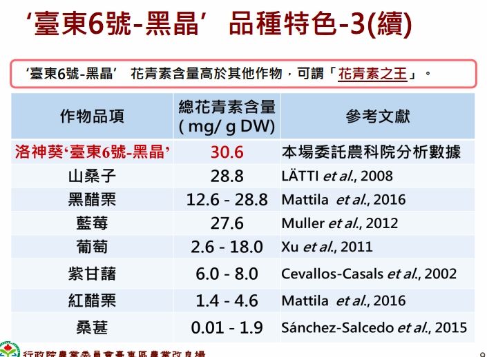 ▲▼1張圖看懂新種洛神花「花青素7.7倍」！　比藍莓、葡萄還強。（圖／台東農業改良場提供）