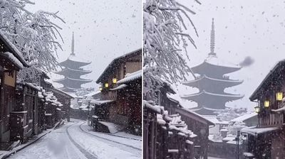 倒轉放慢「大雪京都東寺」畫面超唯美　網讚嘆：根本是虛擬世界