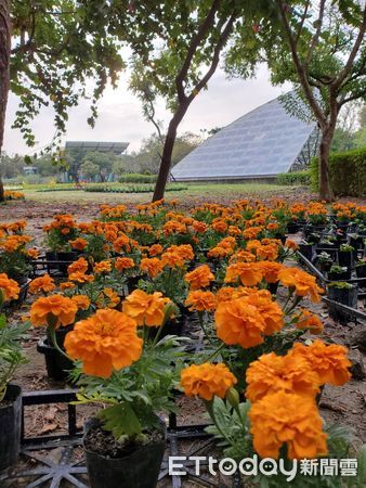 ▲工務局選擇在南瀛綠都心公園、永康公園兩處大型公園，邀請藝術家團隊展開「2022南瀛綠都心花藝創作展」，進行花卉與藝術裝置的妝點花漾來迎賓。（圖／記者林悅翻攝，下同）