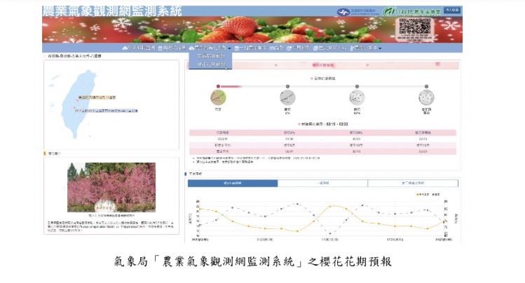 ▲▼氣象局與農委會合作估算櫻花花期。（圖／氣象局）