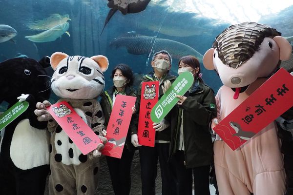▲▼台北市長柯文哲、妻子陳佩琪一同到台北市立動物園，幫「虎」加年菜。（圖／台北市政府提供）