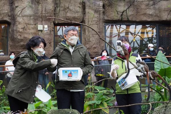 ▲▼台北市長柯文哲、妻子陳佩琪一同到台北市立動物園，幫「虎」加年菜。（圖／台北市政府提供）