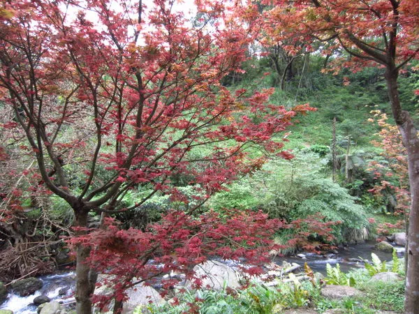 ▲北市福園田教育休閒農場。（圖／北市府提供）