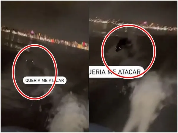 ▲▼巴西出現不明黑色海洋生物，試圖「追殺」漁民。（圖／翻攝自YouTube／JP Today News）