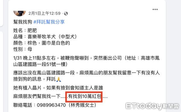 ▲高雄鳳山這名狗主人請大家幫忙找愛犬，找到會給10萬元紅包             。（圖／記者吳奕靖翻攝）