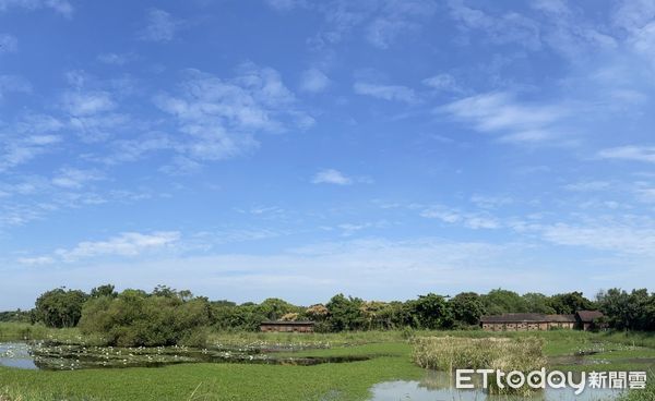 ▲台南濕地生態多元，有生態文化豐富的四草濕地、美景傲人的北門濕地，還有景色豐富多變的嘉南埤圳濕地，除了生態保育功能之外還得天獨厚的景觀。（圖／記者林悅翻攝，下同）