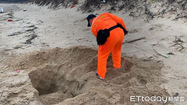 ▲金門海巡單位發現海豬擱淺死亡             。（圖／記者林名揚翻攝）