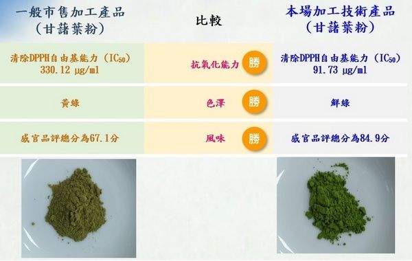 ▲地瓜葉粉變身新興飲品，健康養顏美容