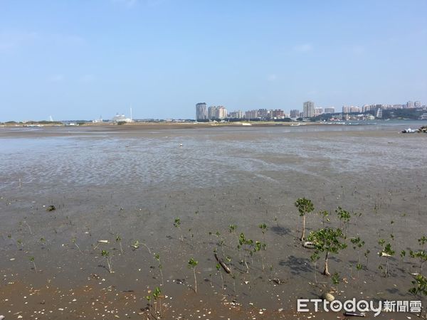 ▲年節走春好所在 新北八里挖子尾自然生態小旅行。（圖／新北市農業局提供）