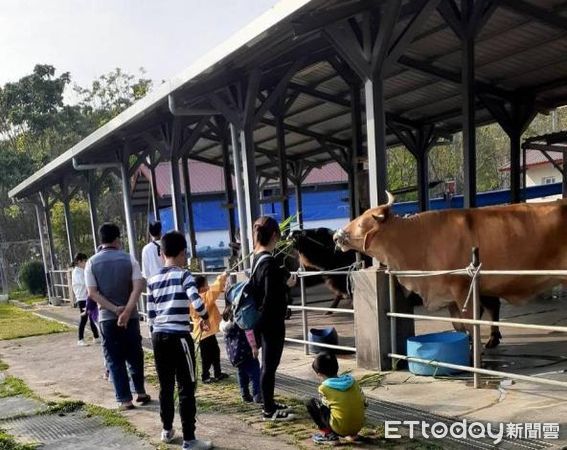 ▲市長黃偉哲歡迎全國民眾，利用假期至台南「老牛的家」參觀。（圖／記者林悅翻攝，下同）