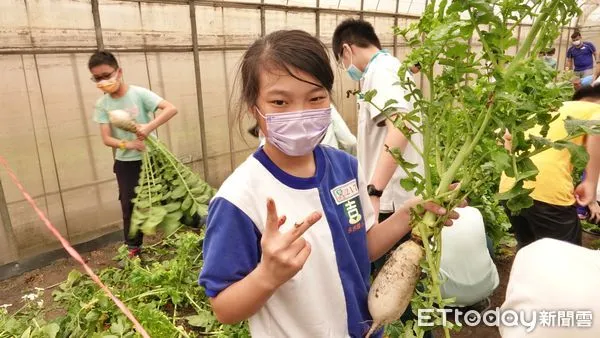 ▲鶯歌心希望農場體驗拔蘿蔔 打造食農樂活教育基地。（圖／新北市農業局提供）