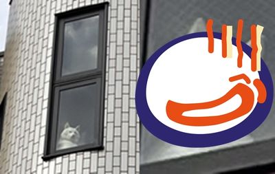 「狗頭監視器」擠出大小眼貼窗怒視 鏡頭拉近網發寒:好可怕!