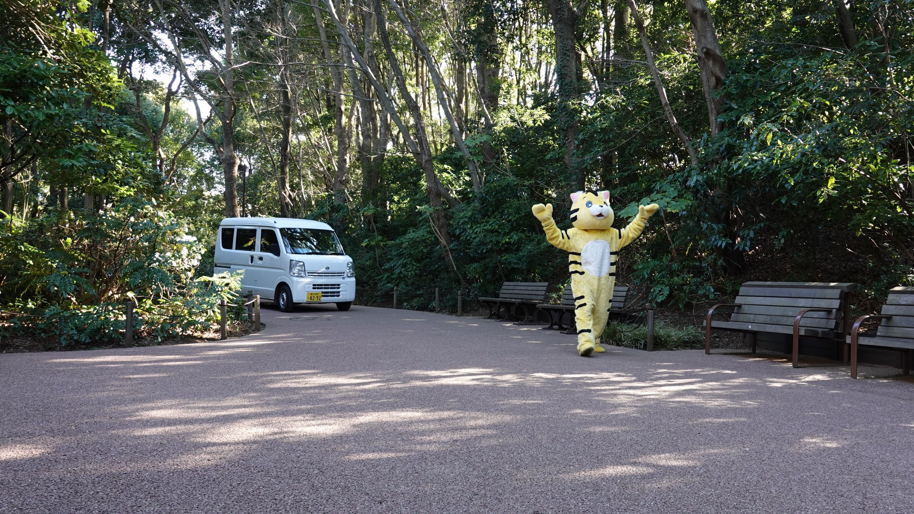 ▲▼日本動物園猛虎逃亡演習，竟是巧虎扮演。（圖／翻攝自Twitter／@ZOORASIA_office）